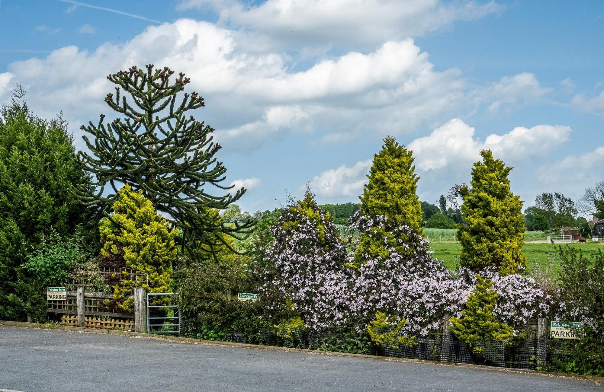 Upside Down House - Sleeps Up To 6 Guests - Great For Family And Friends Gatherings,Corporate Events ,Near Sherwood Forest At Fairview Farm In Nottingham Set In 88 Acres Exteriér fotografie